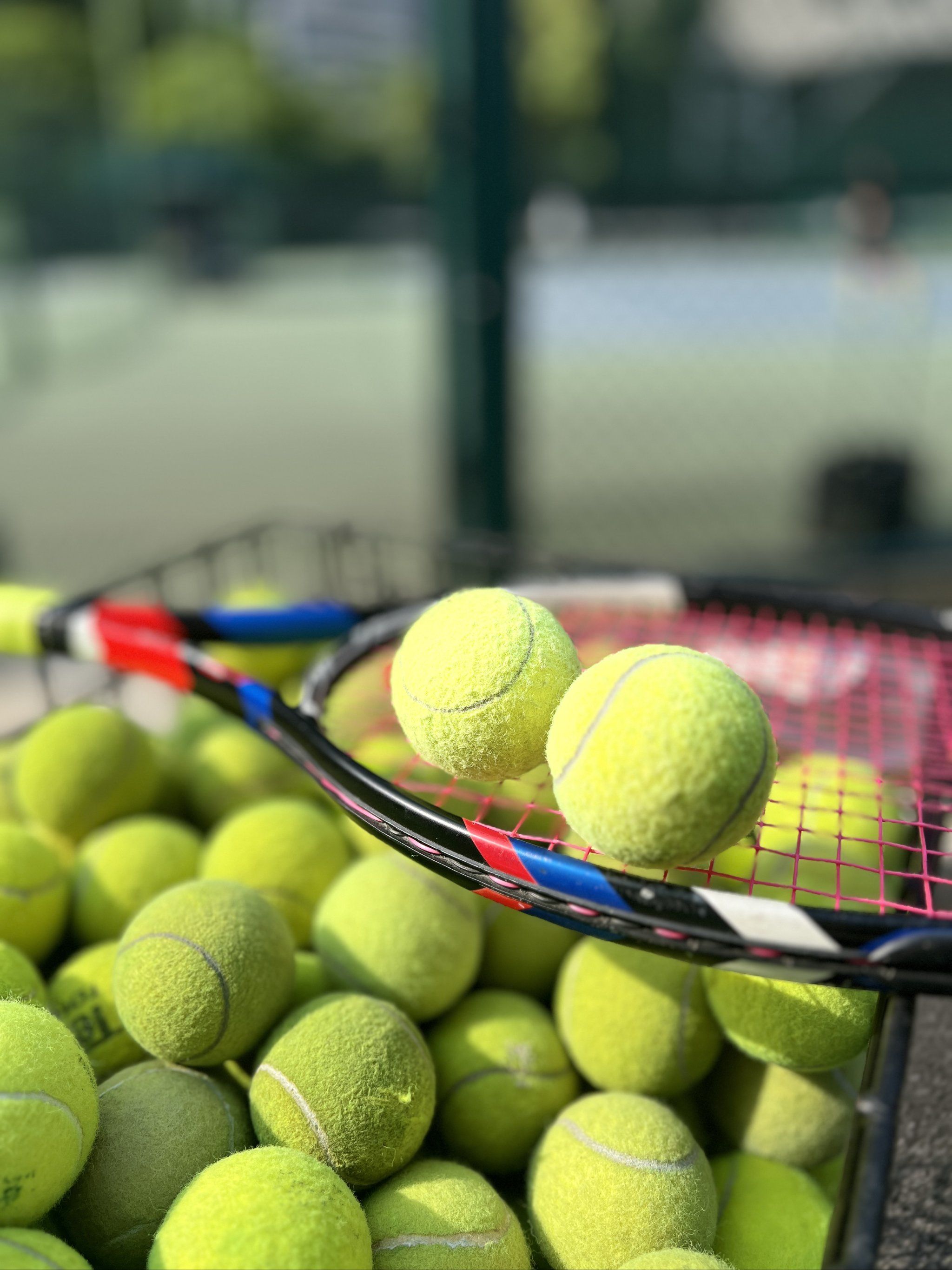 新的队员总 新的队员总