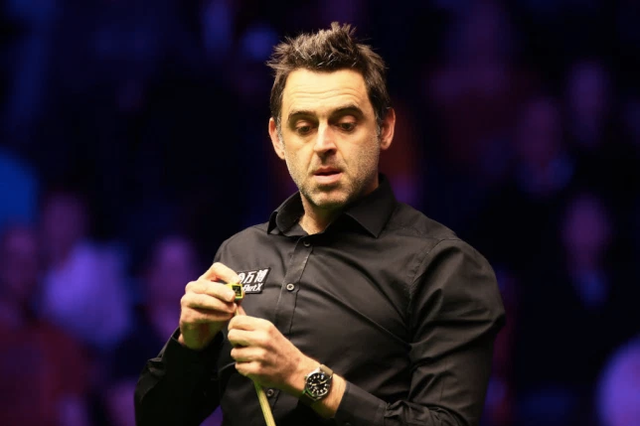 他与约基奇 他与约基奇