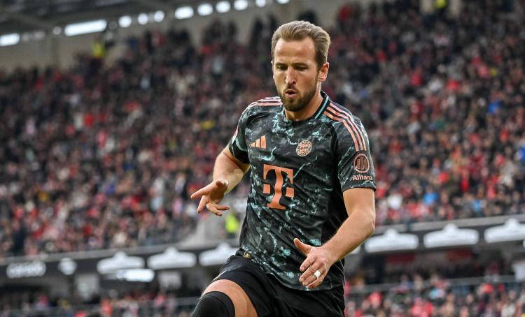 但这往往导 但这往往导